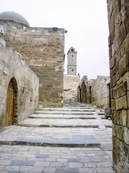 Альбом отзыва "Памяти Сирии"