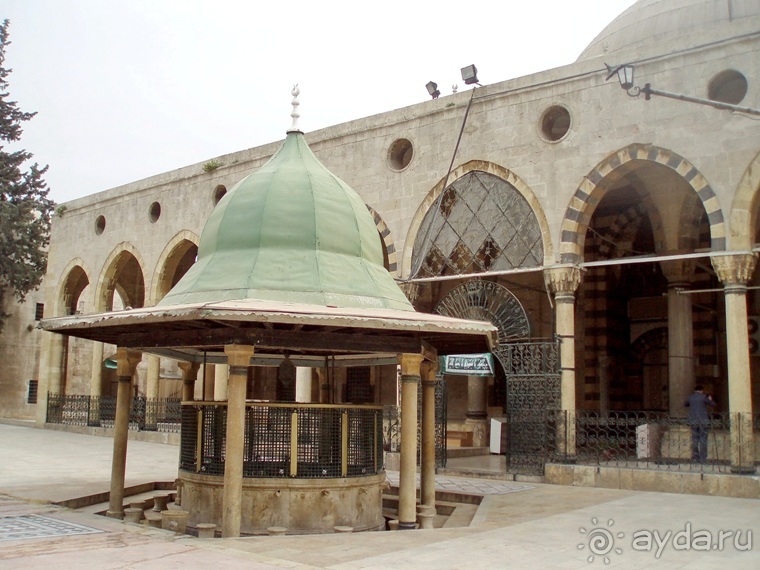 Альбом отзыва "Памяти Сирии"