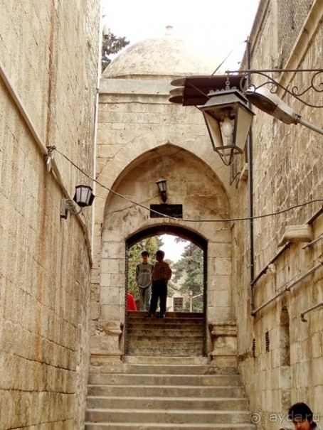 Альбом отзыва "Памяти Сирии"