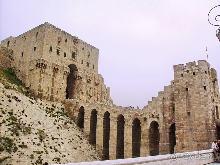 Альбом отзыва "Памяти Сирии"