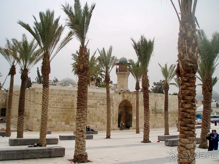 Альбом отзыва "Памяти Сирии"