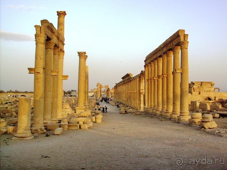 Памяти Сирии