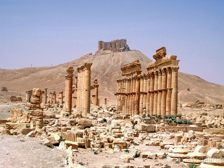 Памяти Сирии