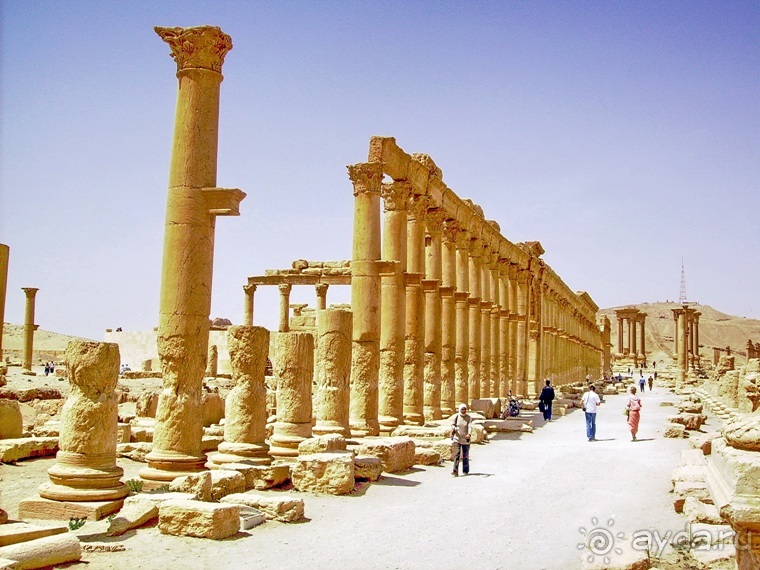 Памяти Сирии