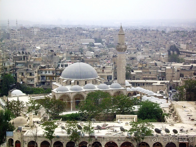 Памяти Сирии