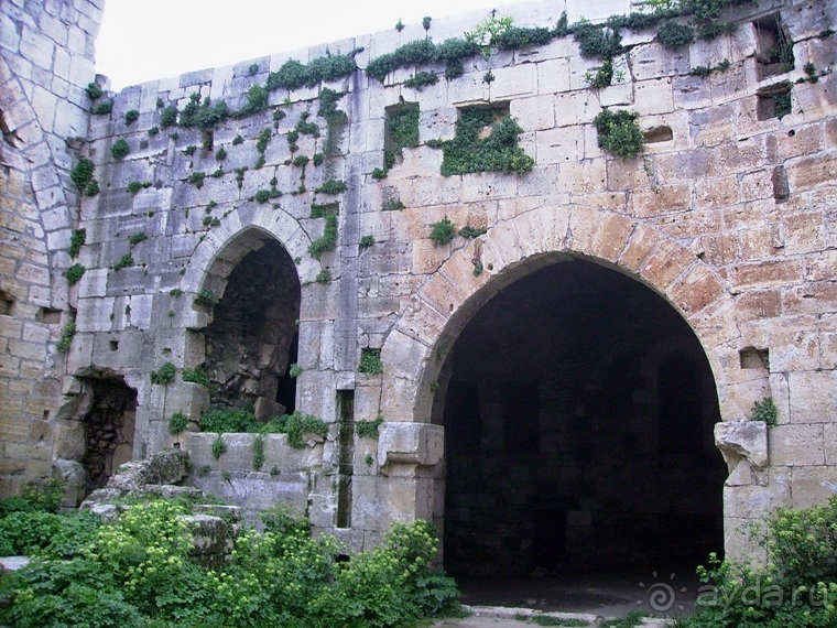 Памяти Сирии