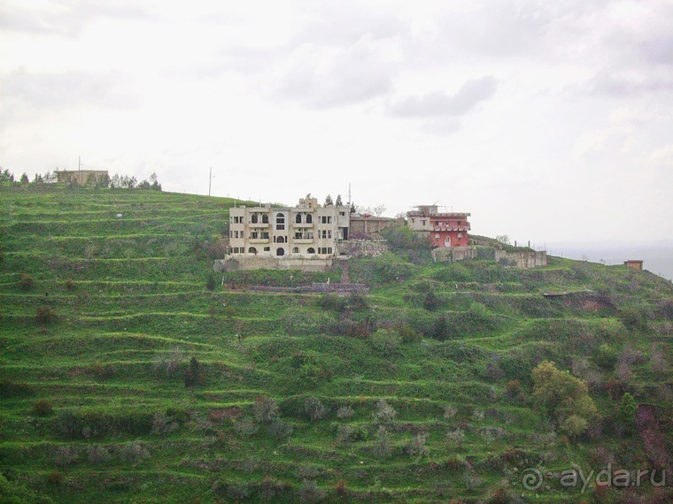 Памяти Сирии