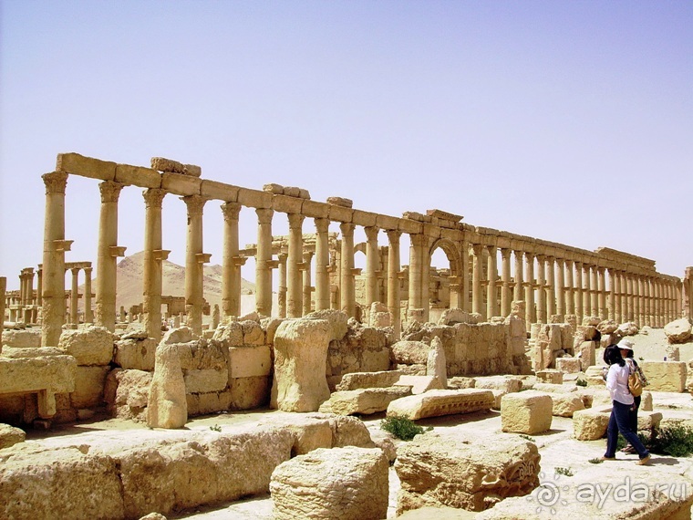 Памяти Сирии