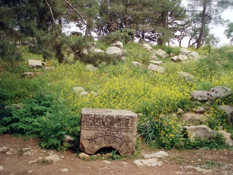 Памяти Сирии