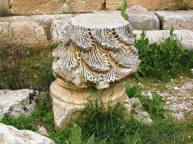 Памяти Сирии