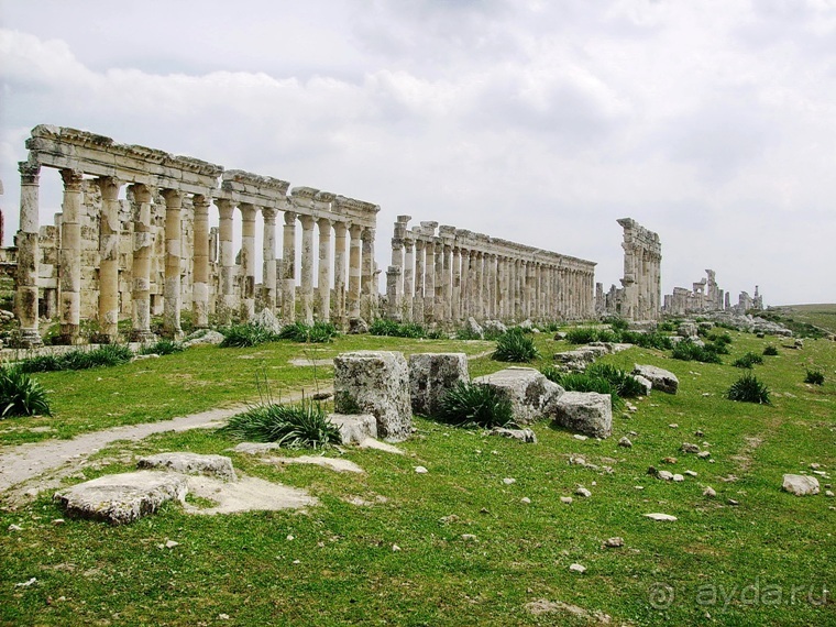 Памяти Сирии