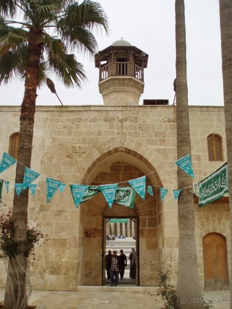 Памяти Сирии