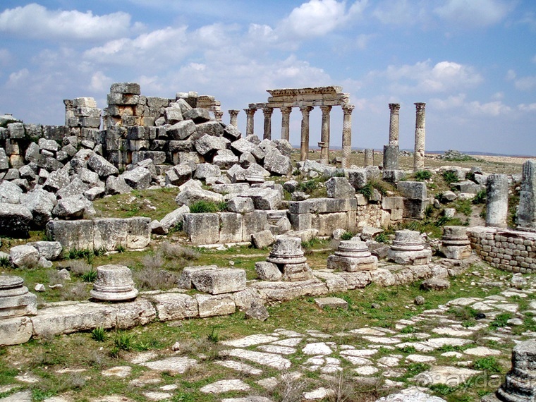 Памяти Сирии