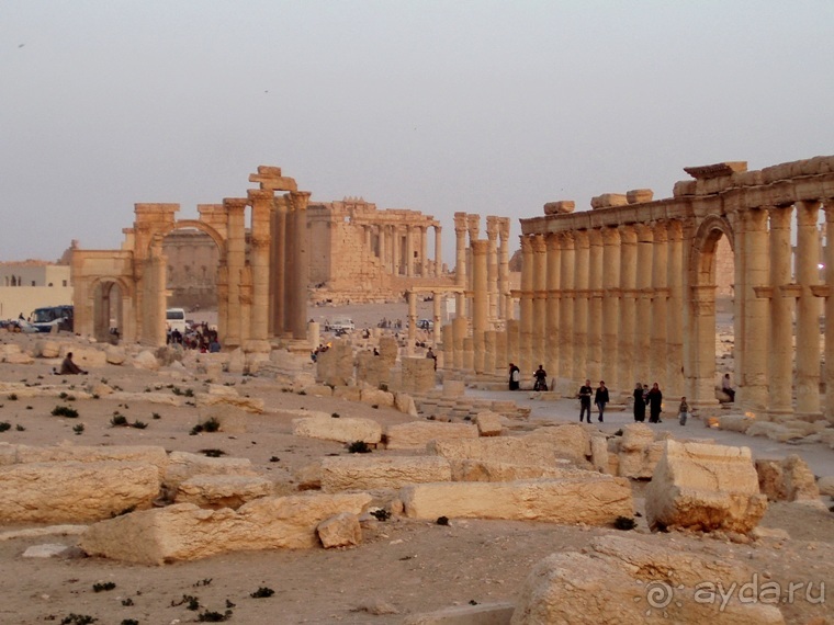 Памяти Сирии