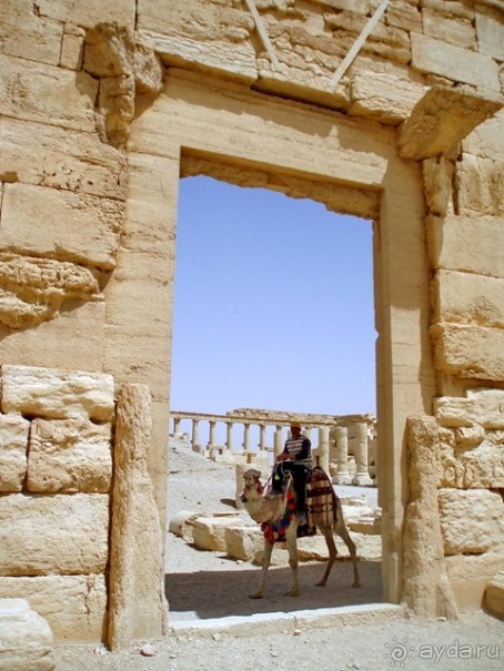 Памяти Сирии