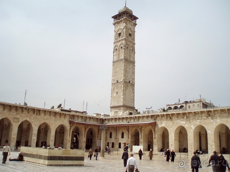 Памяти Сирии