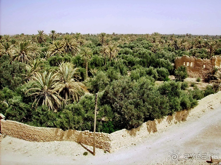 Памяти Сирии