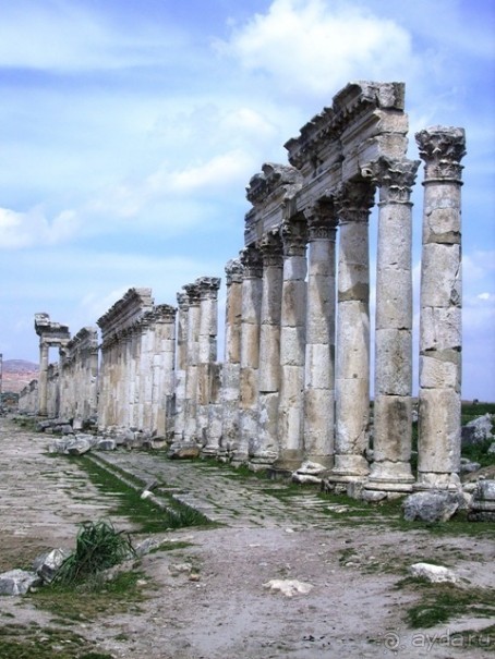 Памяти Сирии