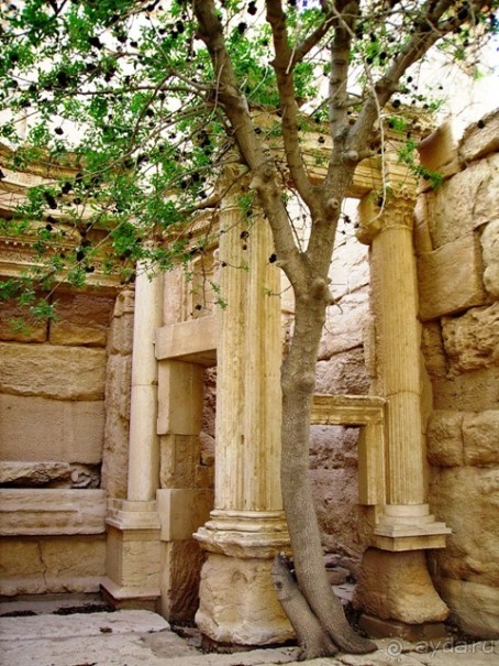 Памяти Сирии