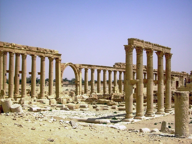 Памяти Сирии