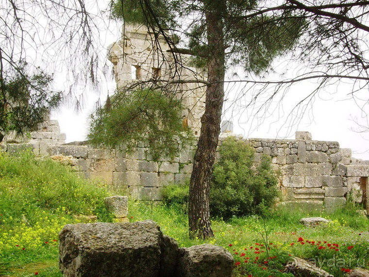 Памяти Сирии