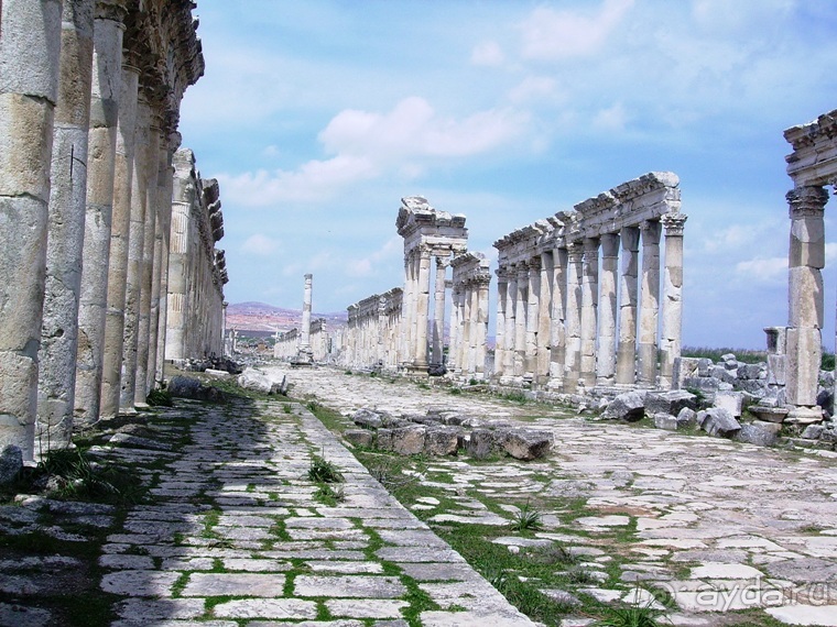 Памяти Сирии