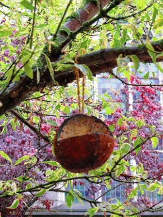 Бельгийские бродилки, пыхтелки и вопилки (с заездом в Маастрихт). Часть 5