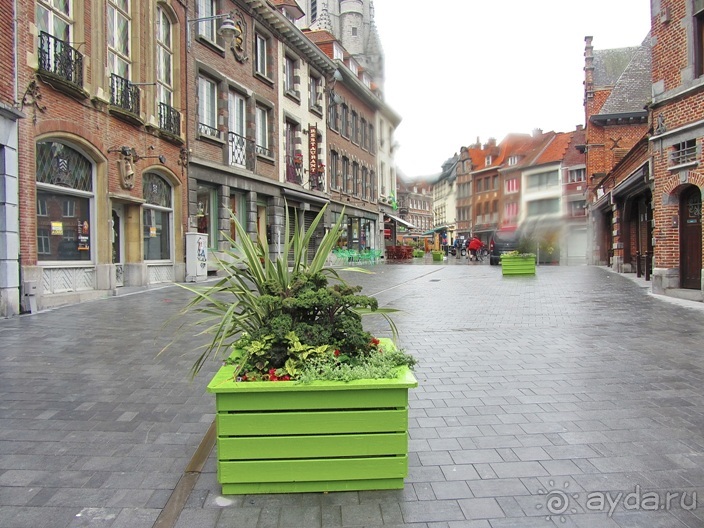 Бельгийские бродилки, пыхтелки и вопилки (с заездом в Маастрихт). Часть 5
