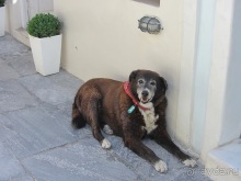 Санторинский кальдероскоп. Белое на голубом. Голубое на белом. Часть 9