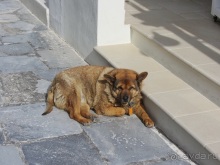 Санторинский кальдероскоп. Белое на голубом. Голубое на белом. Часть 9