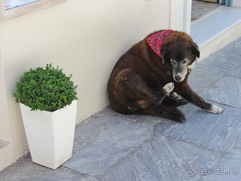 Санторинский кальдероскоп. Белое на голубом. Голубое на белом. Часть 9