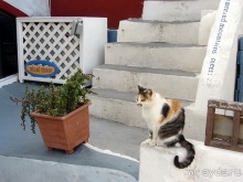 Санторинский кальдероскоп. Белое на голубом. Голубое на белом. Часть 9