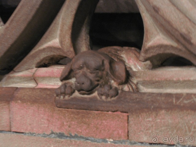 Под небом голубым...октябрьской Баварии (+ Страсбург). Часть 6