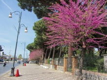 Дороги, которые нас выбирают: Неаполь, четыре "П" и Амальфитанское побережье. Часть 8