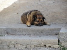 Дороги, которые нас выбирают: Неаполь, четыре "П" и Амальфитанское побережье. Часть 8