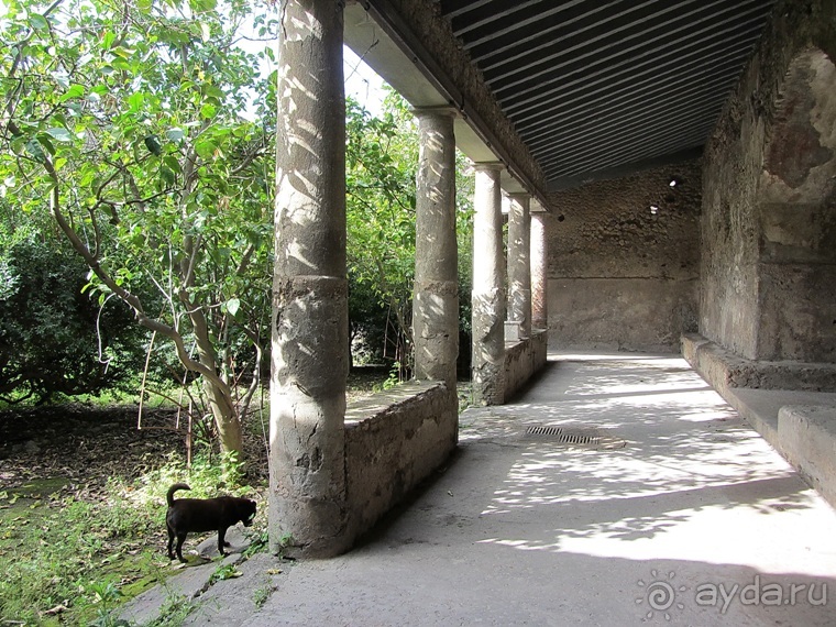 Дороги, которые нас выбирают: Неаполь, четыре "П" и Амальфитанское побережье. Часть 8