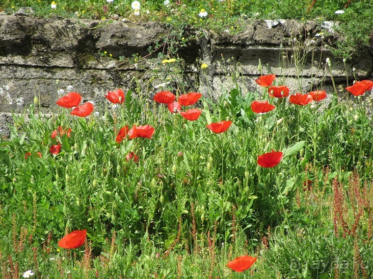 Дороги, которые нас выбирают: Неаполь, четыре "П" и Амальфитанское побережье. Часть 8