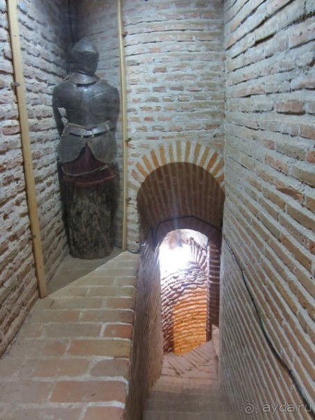 Как мы спасали ёжика и другие прогулки по Кастилии и вокруг Мадрида. Часть 14