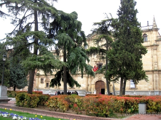 Уикенд близ Мадрида (Алькала де Энарес и Толедо). Часть І