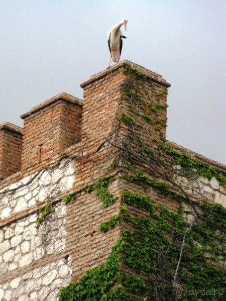 Уикенд близ Мадрида (Алькала де Энарес и Толедо). Часть І