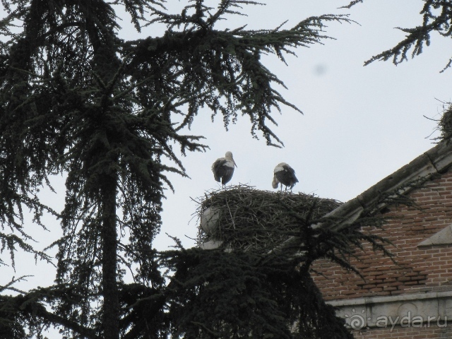 Уикенд близ Мадрида (Алькала де Энарес и Толедо). Часть І