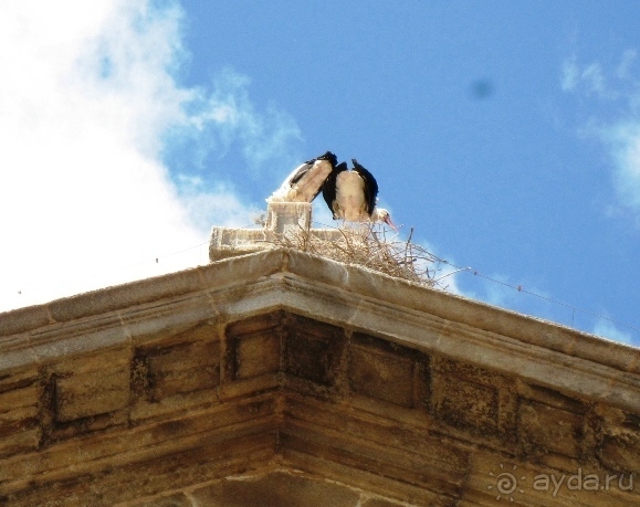 Уикенд близ Мадрида (Алькала де Энарес и Толедо). Часть І