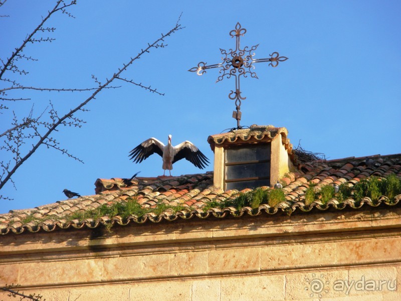 Аутентичная Испания (Торо)