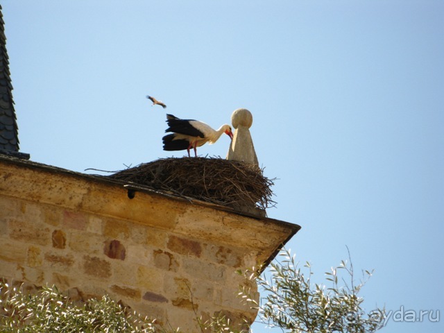 Аутентичная Испания (Торо)