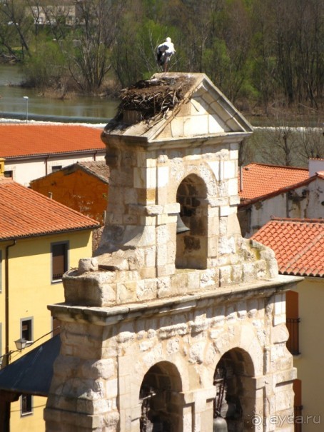 Аутентичная Испания (Торо)