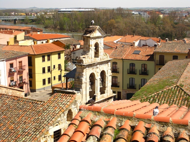 Аутентичная Испания (Торо)