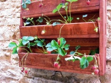 Кольцо мечты: Каталония, Пиренеи и Коста-Брава - по обе стороны границы. Часть 5