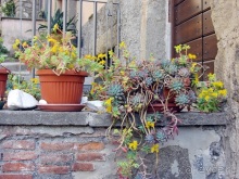 Италия в камне: Рим - Витербо - Гроссето - Питильяно - Сорано ... и опять Рим. Часть 1