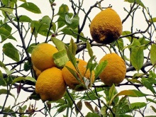 Дороги, которые нас выбирают: Неаполь, четыре "П" и Амальфитанское побережье. Часть 9