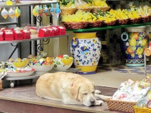 Дороги, которые нас выбирают: Неаполь, четыре "П" и Амальфитанское побережье. Часть 9